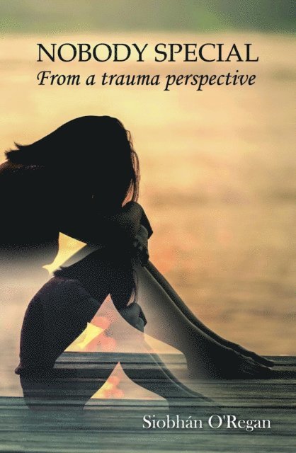 Siobhan O'Regan, Jeyran Main - NOBODY SPECIAL From a trauma perspective, E-bok