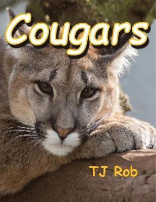 TJ Rob - Cougars, Häftad