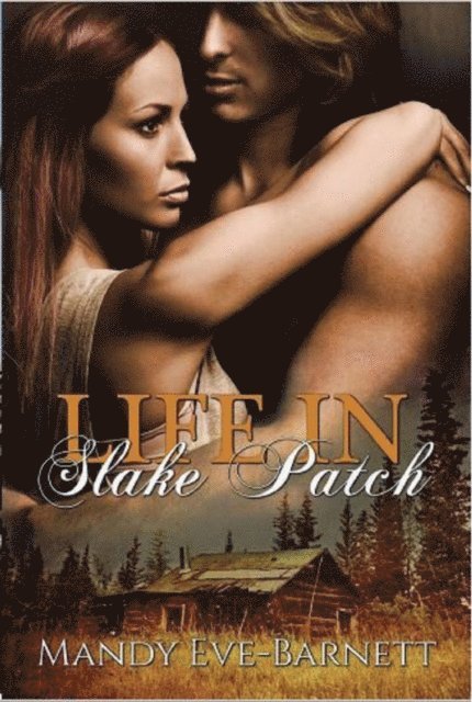Mandy Eve-Barnett - Life in Slake Patch, E-bok