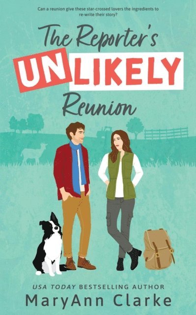 MaryAnn Clarke - Reporter's Unlikely Reunion, E-bok