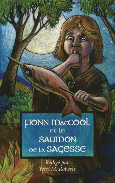 Terri M. Roberts - Fionn MacCool et le saumon de la sagesse, E-bok