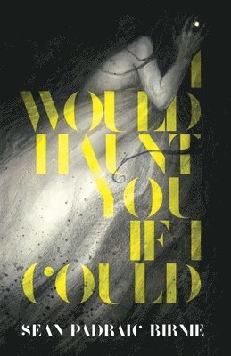 Seán Padraic Birnie - I Would Haunt You if I Could, Häftad