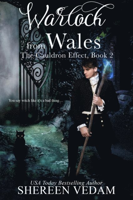 Shereen Vedam - Warlock from Wales, E-bok