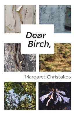 Margaret Christakos - Dear Birch, Häftad