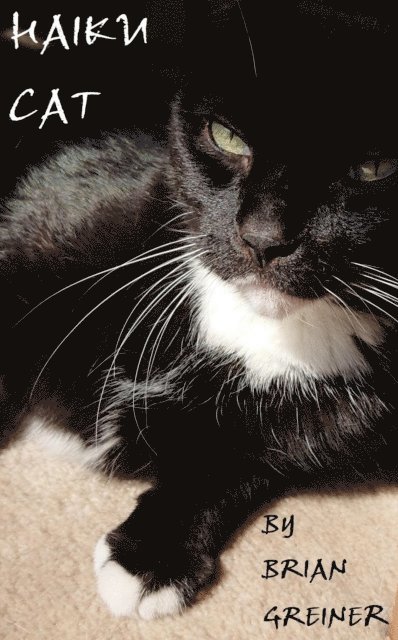 Brian Greiner - Haiku Cat, E-bok