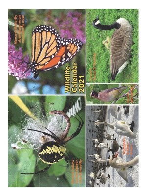 Barbara a. Fanson - Wildlife Calendar 2021, Häftad. Tillgänglighet: Lägg i varukorg
