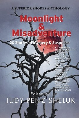 Judy Penz Sheluk - Moonlight & Misadventure, Häftad. Tillgänglighet: Lägg i varukorg