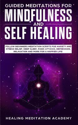 Healing Meditation Academy - Guided Meditations for Mindfulness and Self Healing, Häftad