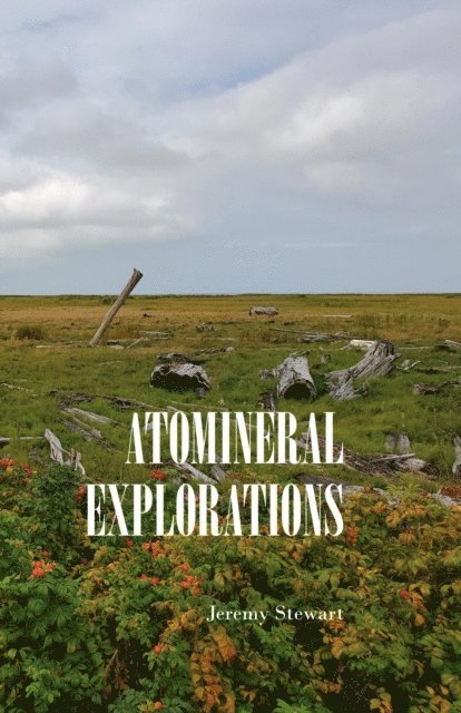 Jeremy Stewart - Atomineral Explorations, E-bok