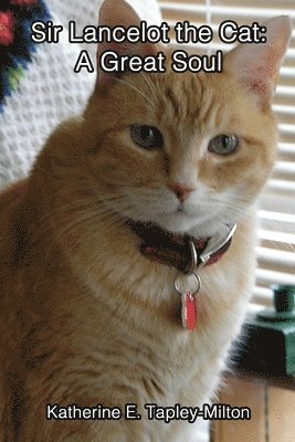 4 Paws Games and Publishing - Sir Lancelot the Cat, Häftad