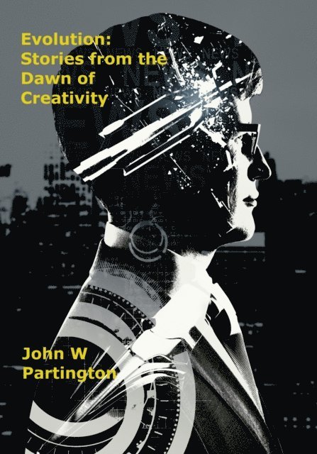 John W Partington - Evolution: Stories from the Dawn of Creativity, E-bok