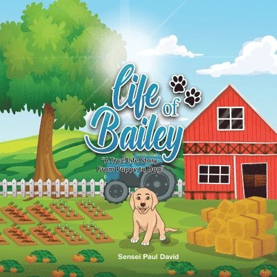 Sensei Paul David - Life of Bailey, Häftad
