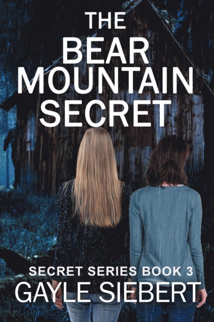 Gayle Siebert - Bear Mountain Secret, E-bok