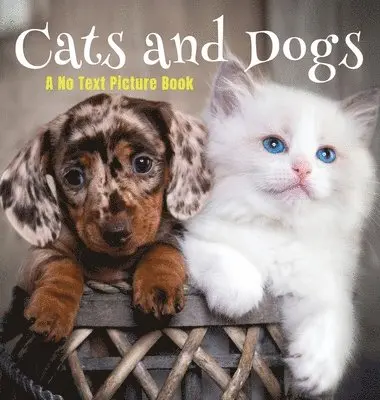 Cats and Dogs, A No Text Picture Book