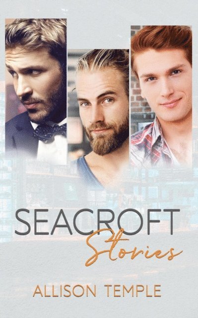 Allison Temple - Seacroft Stories, E-bok
