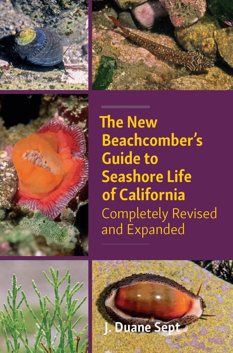 J. Duane Sept - New Beachcombers Guide to Seashore Life of Californi, Häftad. Tillgänglighet: Lägg i varukorg
