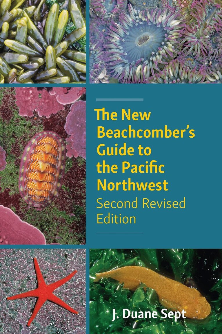 J. Duane Sept - New Beachcomber’s Guide to the Pacific Northwest, Häftad. Tillgänglighet: Tillfälligt slut