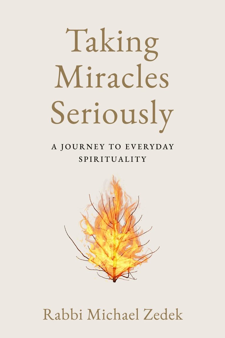 Michael Zedek - Taking Miracles Seriously, Häftad