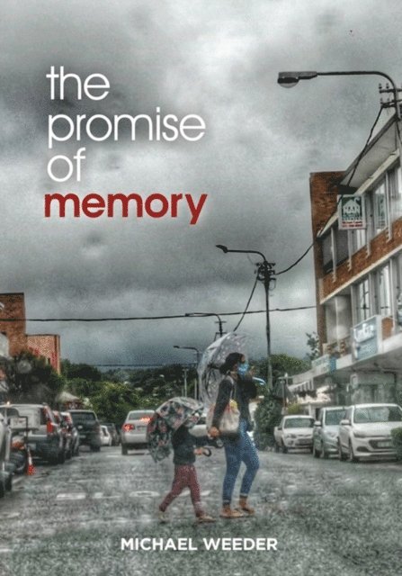 Promise of Memory, E-bok