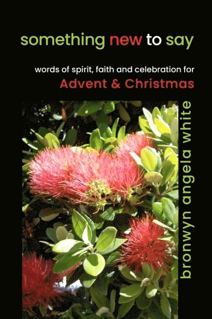 Bronwyn Angela White - Something New to Say: Words of Spirit, Faith and Celebration for Advent and Christmas, E-bok