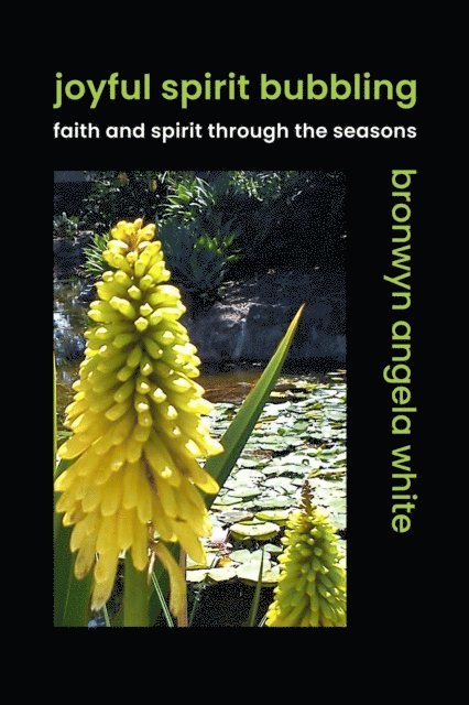 Bronwyn Angela White - Joyful Spirit Bubbling: Faith and Spirit through the Seasons, E-bok