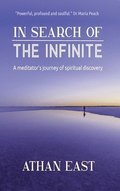 In Search of The Infinite: A meditator's journey of spiritual discovery