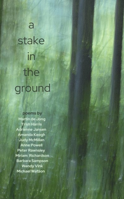 Martin De Jong - Stake In The Ground, E-bok
