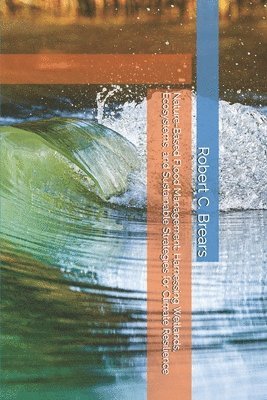 Robert C Brears - Nature-Based Flood Management, Häftad
