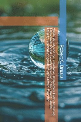 Robert C Brears, Robert C. Brears - Water Security and the Sustainable Development Goals, Häftad