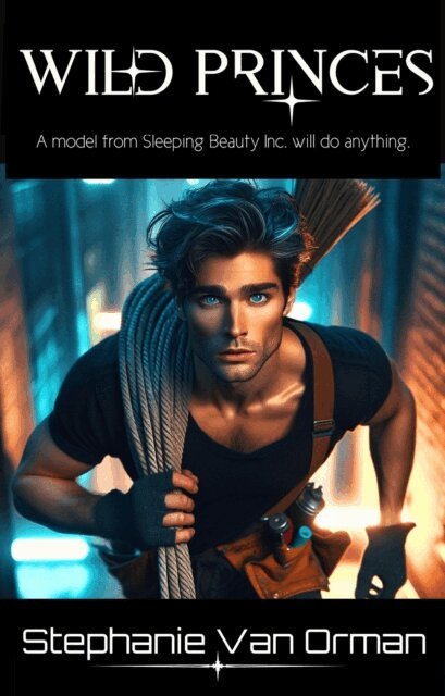 Stephanie Van Orman - Wild Princes, E-bok