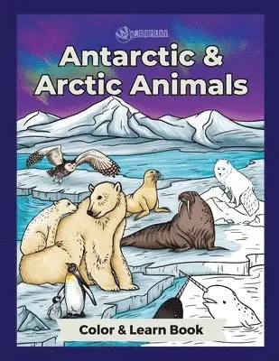 Jennifer Cross - Antarctic & Arctic Animals, Häftad. Tillgänglighet: Lägg i varukorg