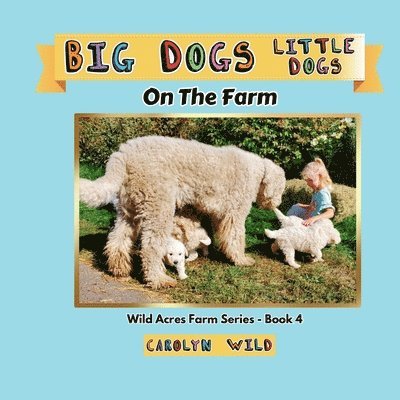 Carolyn Wild - Big Dogs Little Dogs, Häftad. Tillgänglighet: Lägg i varukorg