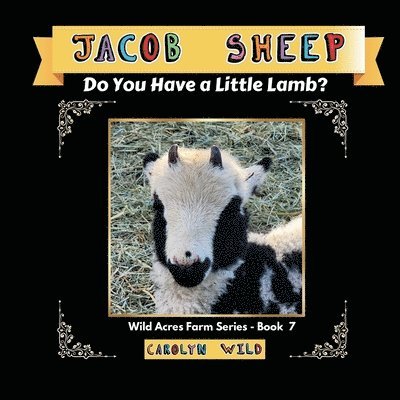 Carolyn Wild - Jacob Sheep, Häftad. Tillgänglighet: Lägg i varukorg