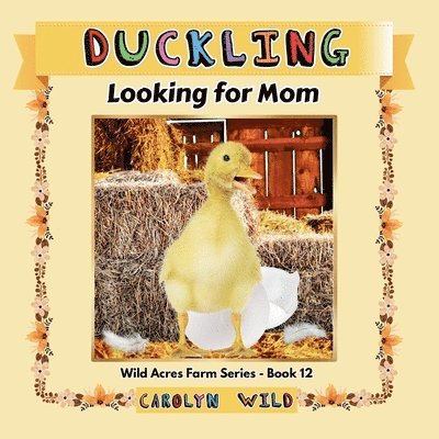 Carolyn Wild - Duckling, Häftad. Tillgänglighet: Lägg i varukorg