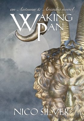Nico Silver - Waking Pan, Inbunden
