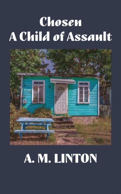 A. M. Linton - Chosen - A Child of Assault, E-bok