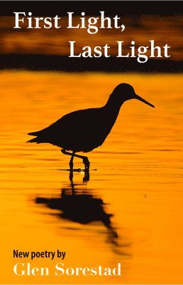 Glen Sorestad - First Light, Last Light, Häftad