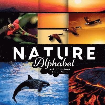 The Cheekyprimate - Nature Alphabet, Häftad. Tillgänglighet: Lägg i varukorg