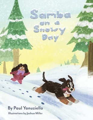 Paul Yanuziello - Samba on a Snowy Day, Häftad