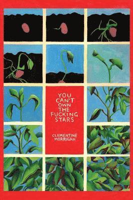 Clementine Morrigan - You Can't Own the Fucking Stars, Häftad