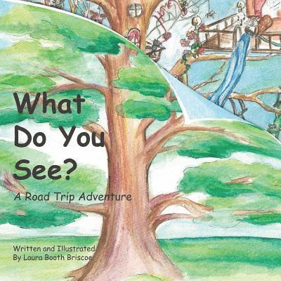 Laura Booth Briscoe - What Do You See? A Road Trip Adventure: (square 8.5 x 8.5), Häftad