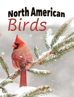 North American Birds, Häftad. Tillgänglighet: Lägg i varukorg