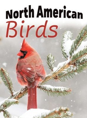 North American Birds, Inbunden. Tillgänglighet: Lägg i varukorg