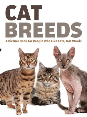 Cat Breeds, Inbunden. Tillgänglighet: Lägg i varukorg