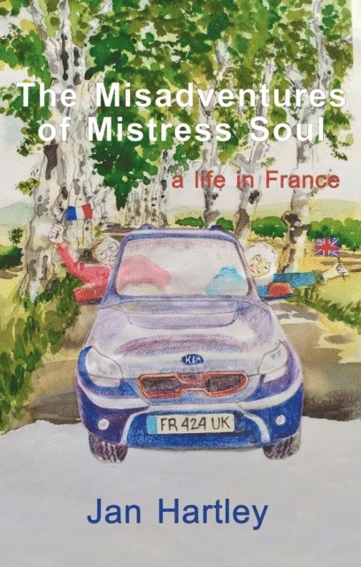 Jan Hartley - Misadventures of Mistress Soul, E-bok