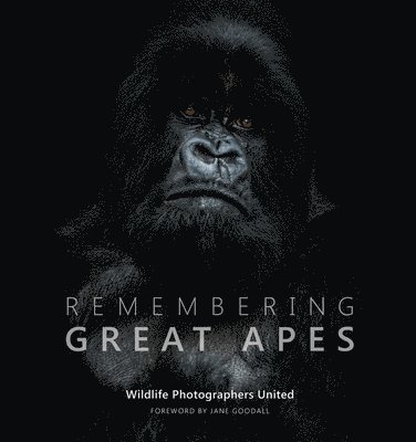 Margot Raggett - Remembering Great Apes, Inbunden. Tillgänglighet: Lägg i varukorg