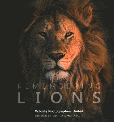 Remembering Lions