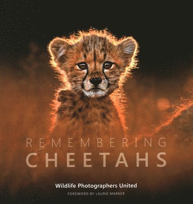 Remembering Cheetahs, Inbunden. Tillgänglighet: Lägg i varukorg