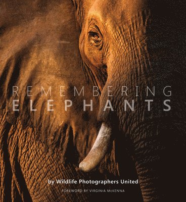 Remembering Elephants, Inbunden. Tillgänglighet: Lägg i varukorg