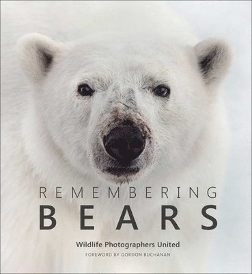 Margot Raggett Mbe - Remembering Bears, Inbunden. Tillgänglighet: Lägg i varukorg